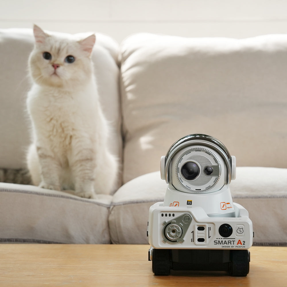 My time thief: puppy love letter in the PICKFUN lens