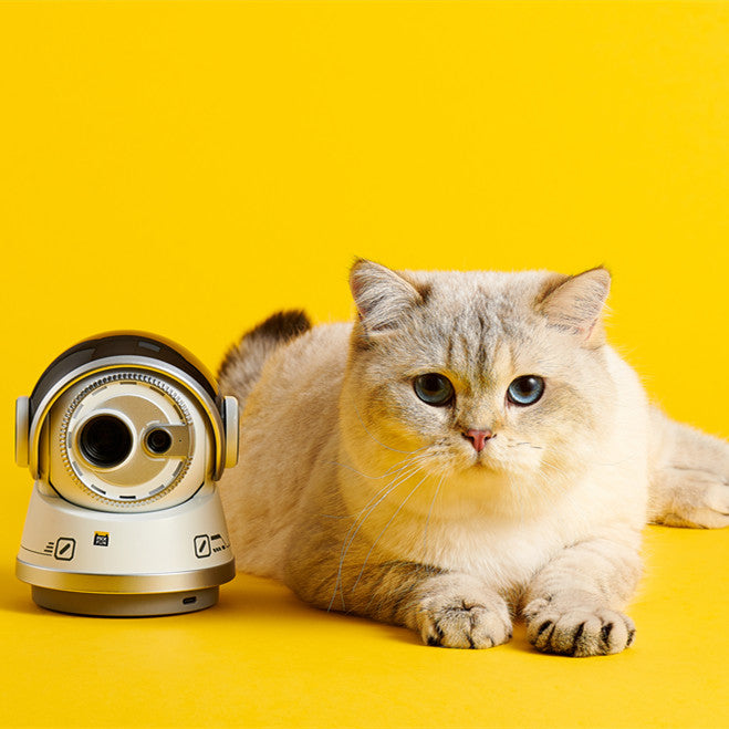 Pickfun AI PETS VIDEO MAKER