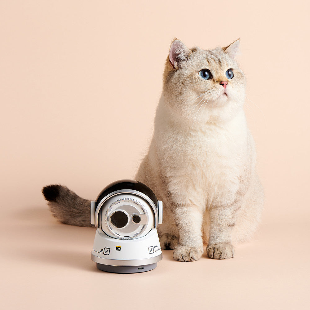 Pickfun AI PETS VIDEO MAKER