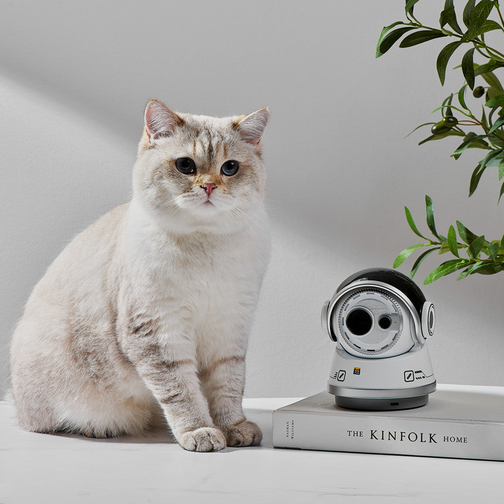 Pickfun AI PETS VIDEO MAKER