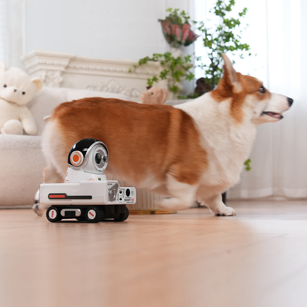 PICKFUN AI VLOG CAMERA ROBOT